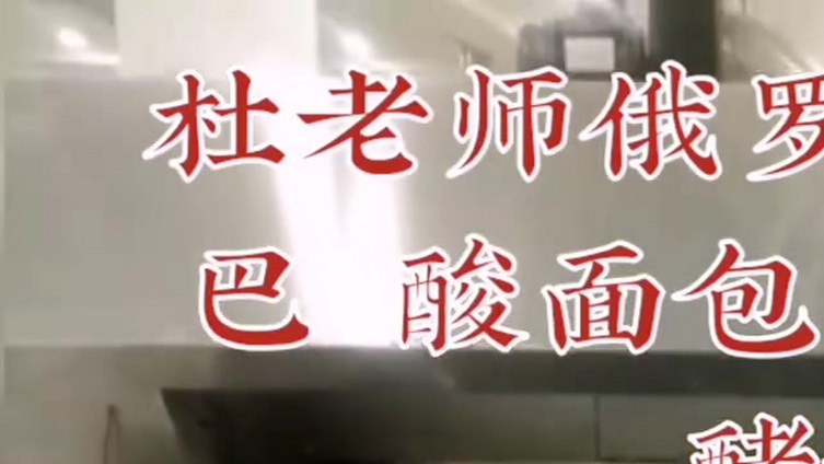 杜老师俄罗斯指导:列巴 酸面包 黑麦野生酵母面包 乳酸菌咸裸麦面包【2010】 